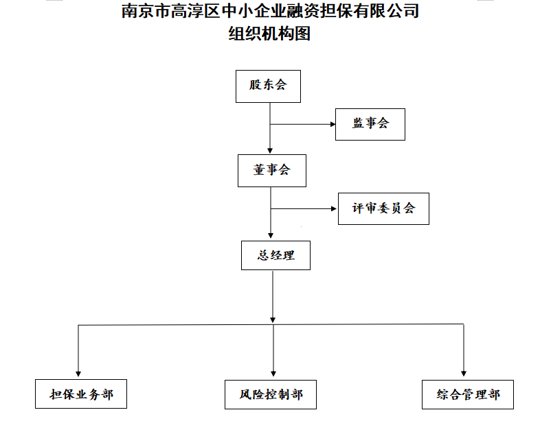 南京市高淳區(qū)中小企業(yè)融資擔(dān)保有限公司簡介