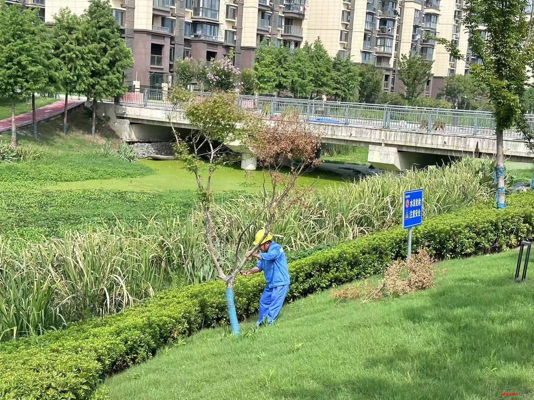 品高淳蟹 賞蟹城景，淳匯公司全面保障螃蟹城迎國慶